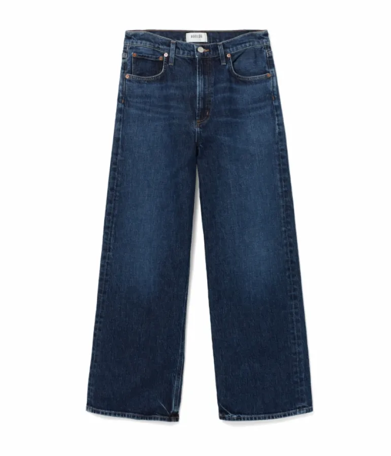Denim-Agolde Ren Jean in Echo