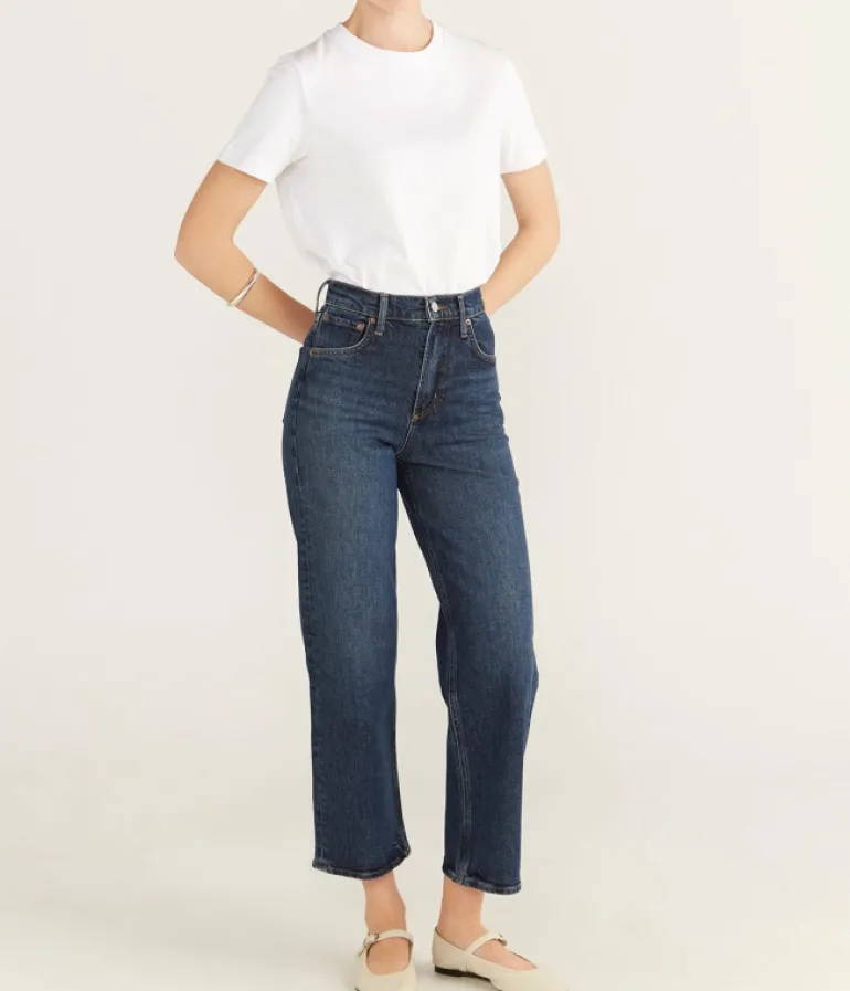Denim-Agolde Ren Jean in Echo