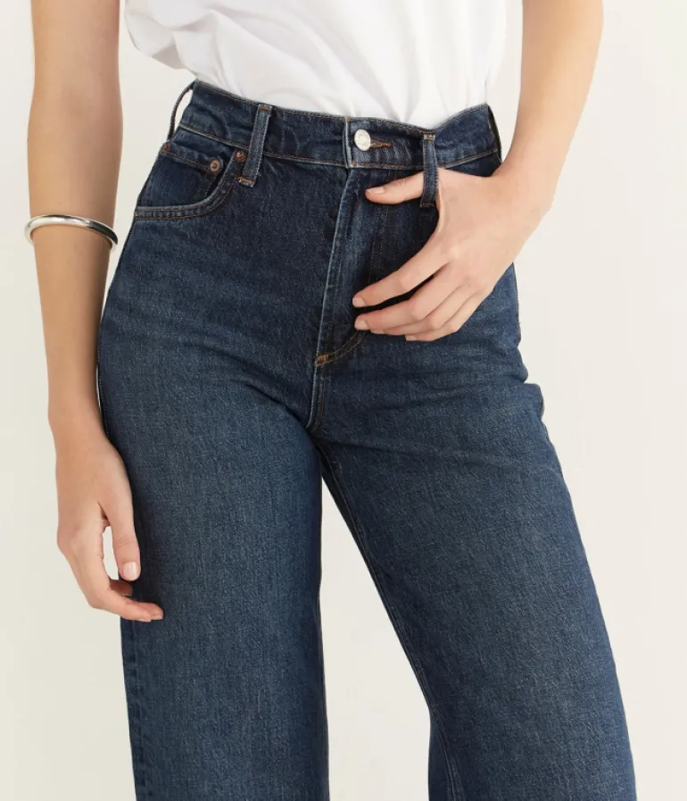 Denim-Agolde Ren Jean in Echo